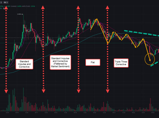 DOGE Elliott Wave Analysis 2021-04-24